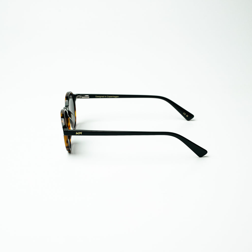 C1 KAYLO TORTOISE