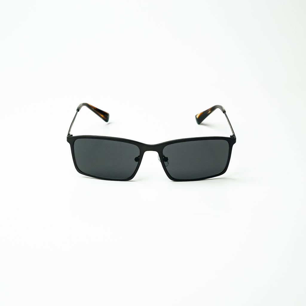 C2  FRANCIS TORTOISE