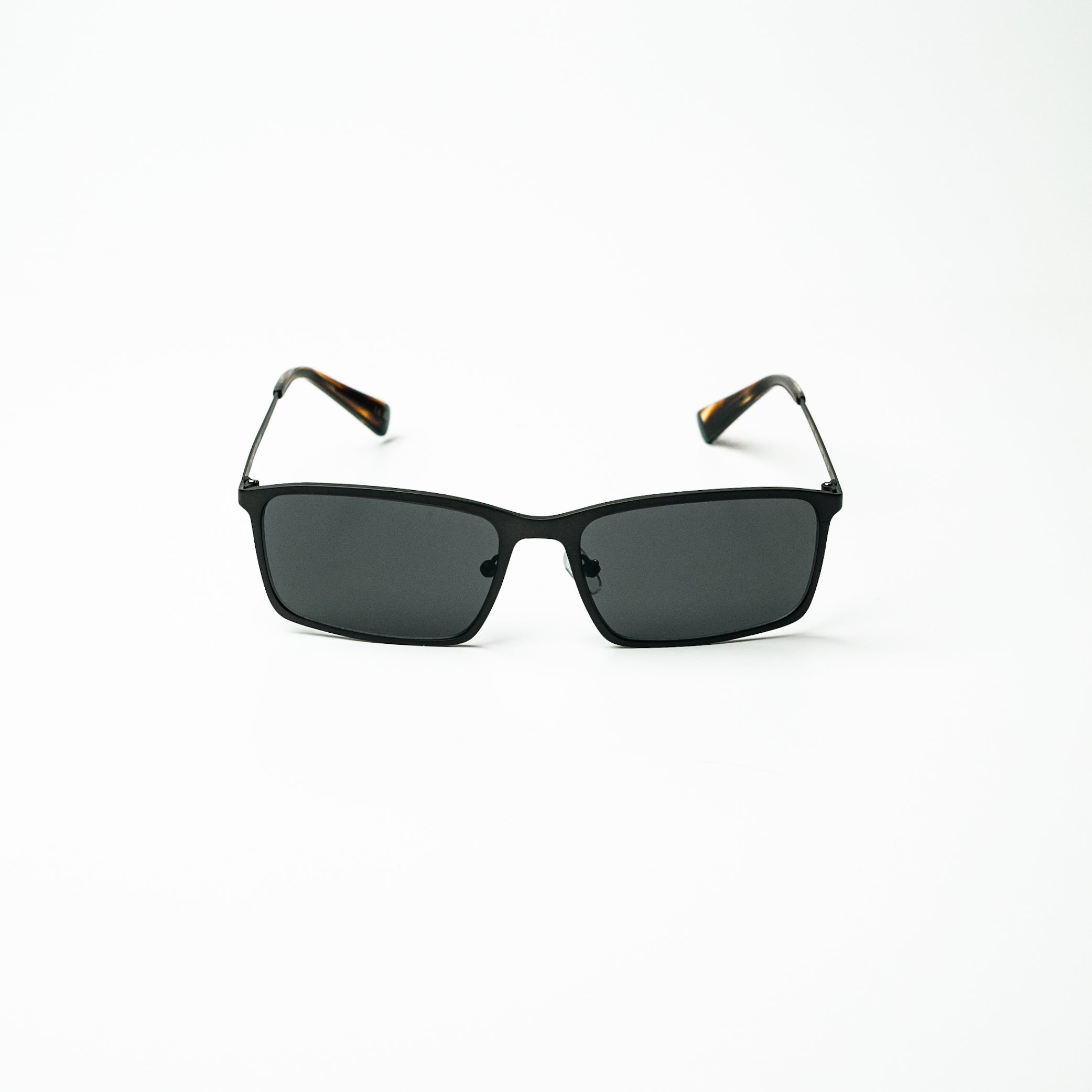 C2  FRANCIS TORTOISE