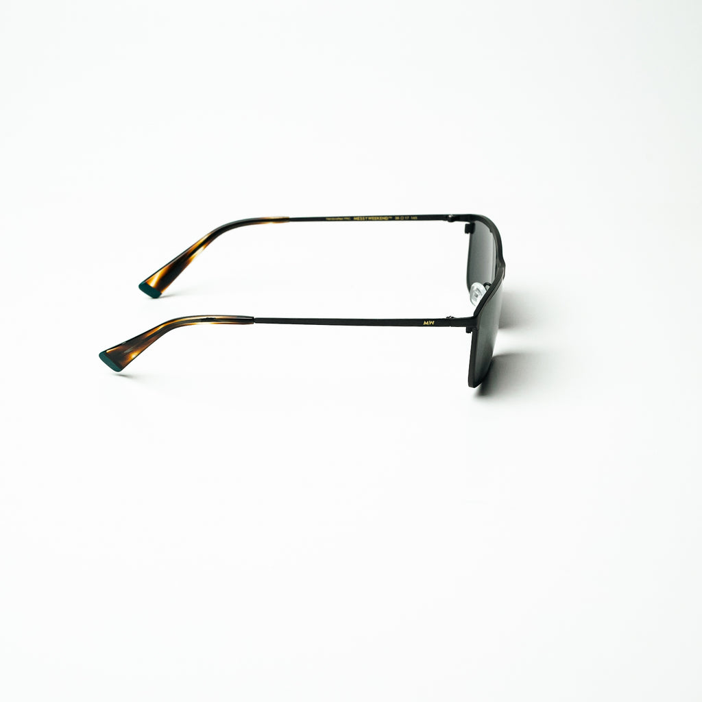 C2  FRANCIS TORTOISE