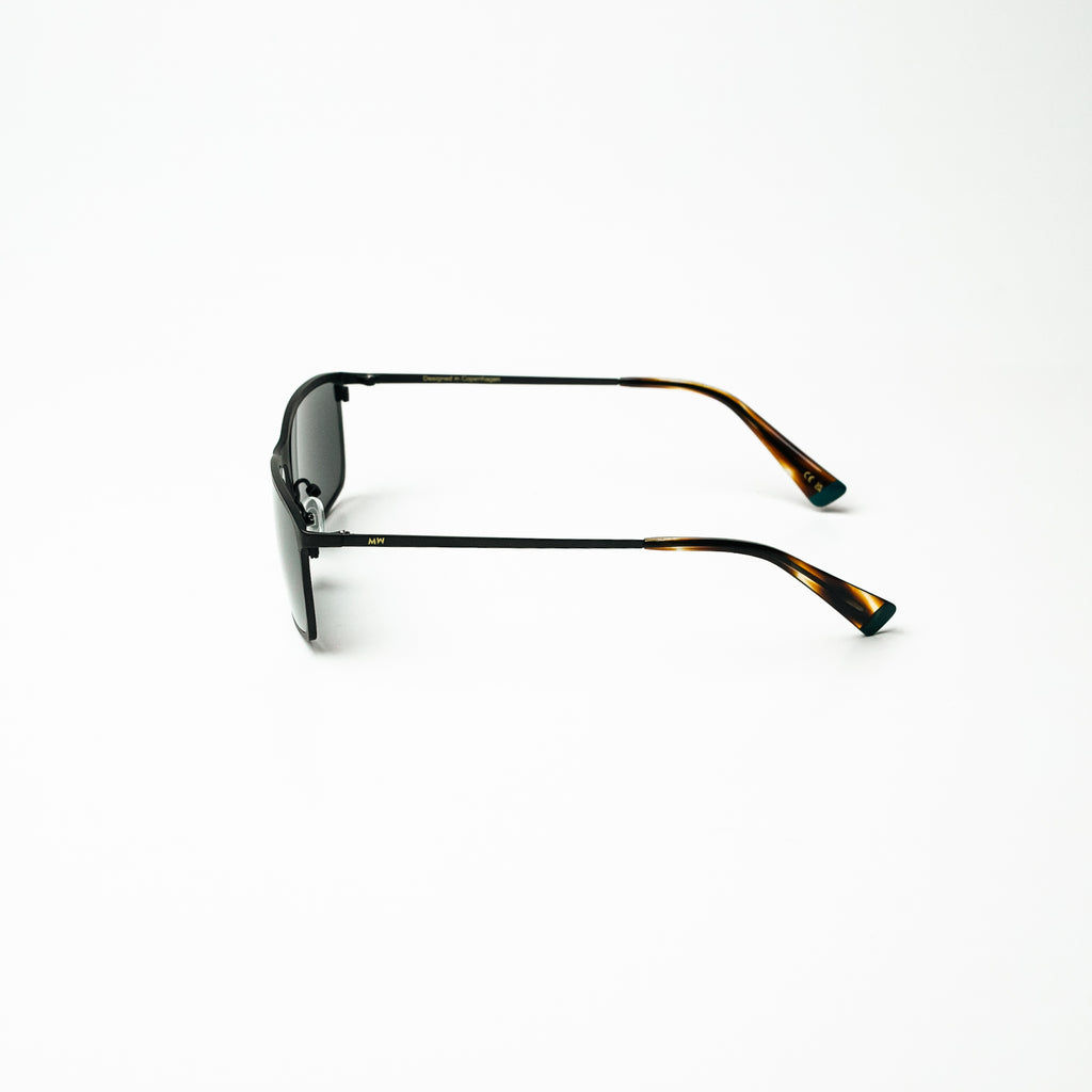 C2  FRANCIS TORTOISE