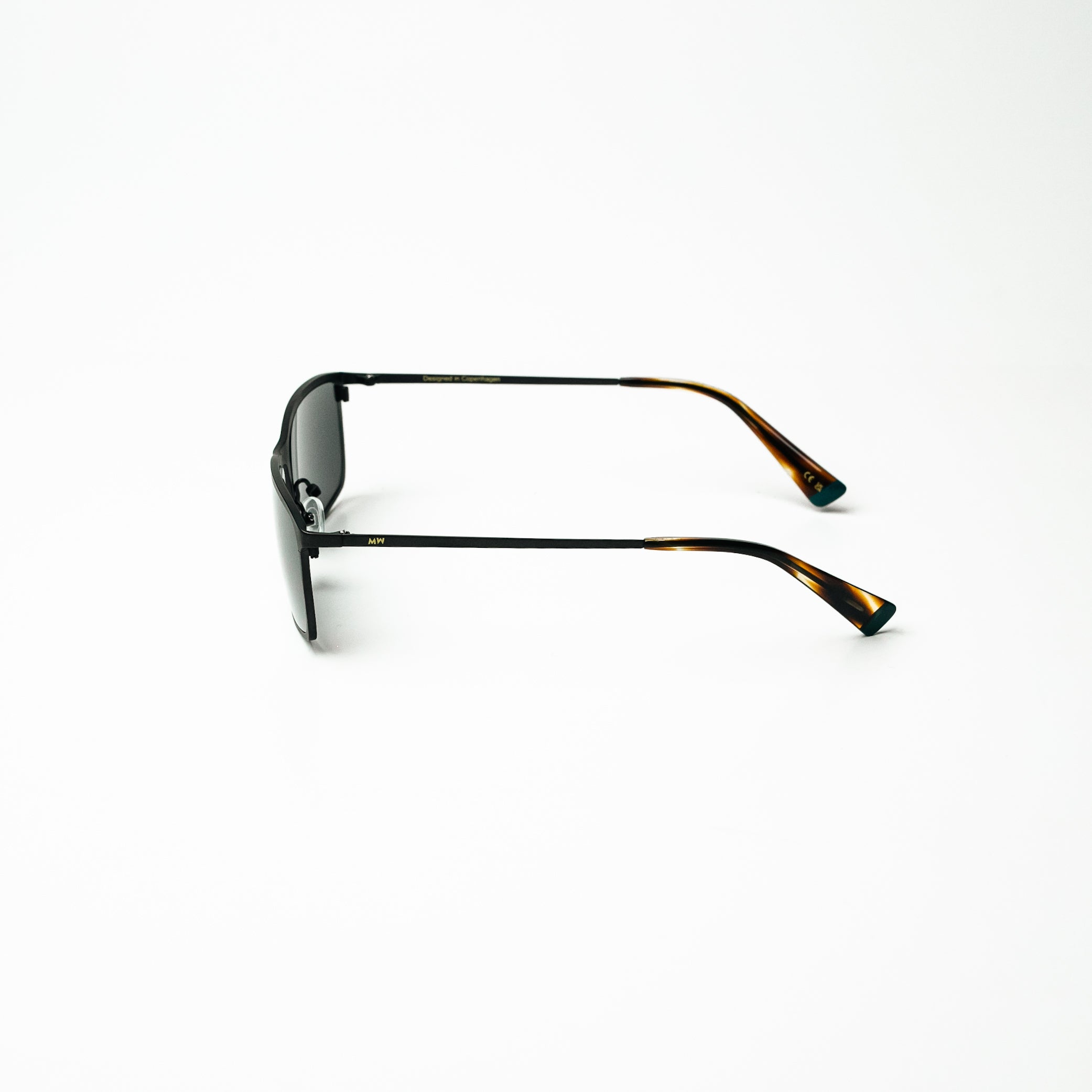 C2  FRANCIS TORTOISE