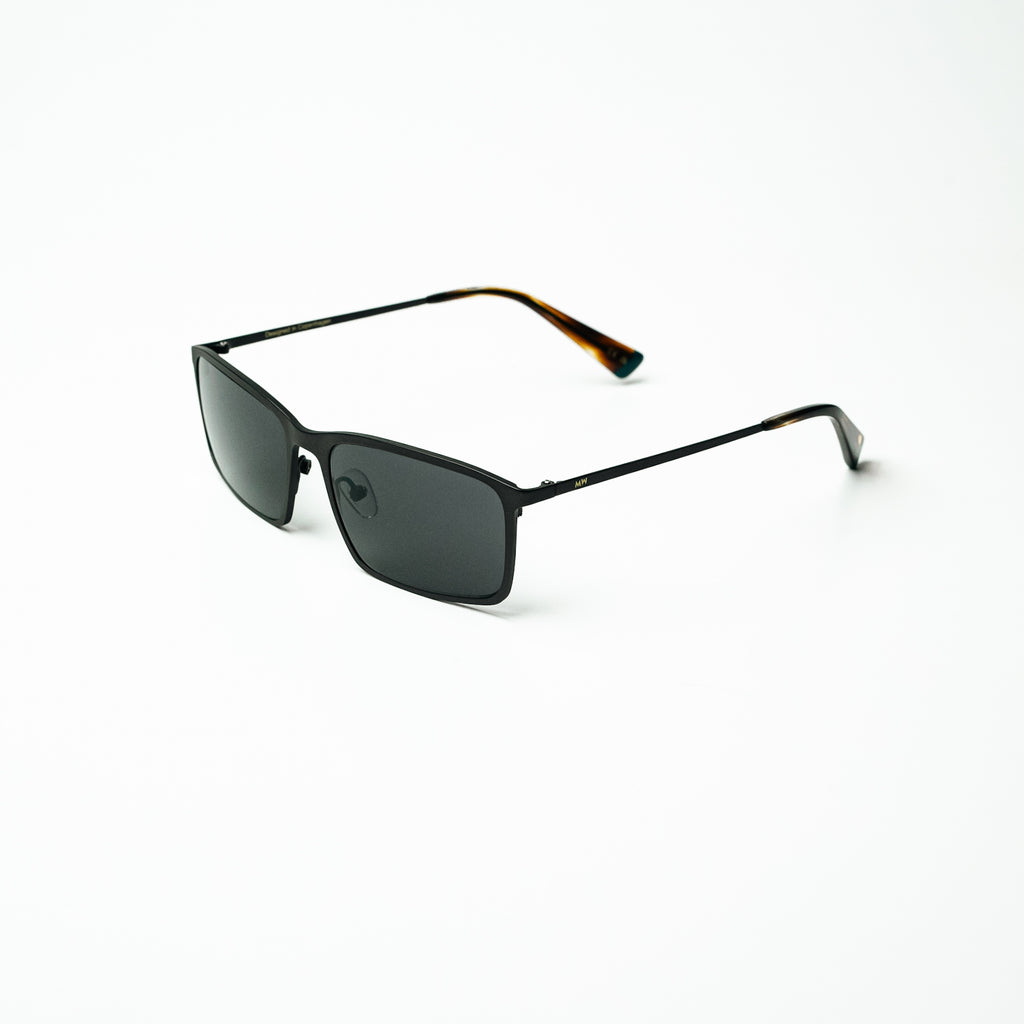 C2  FRANCIS TORTOISE