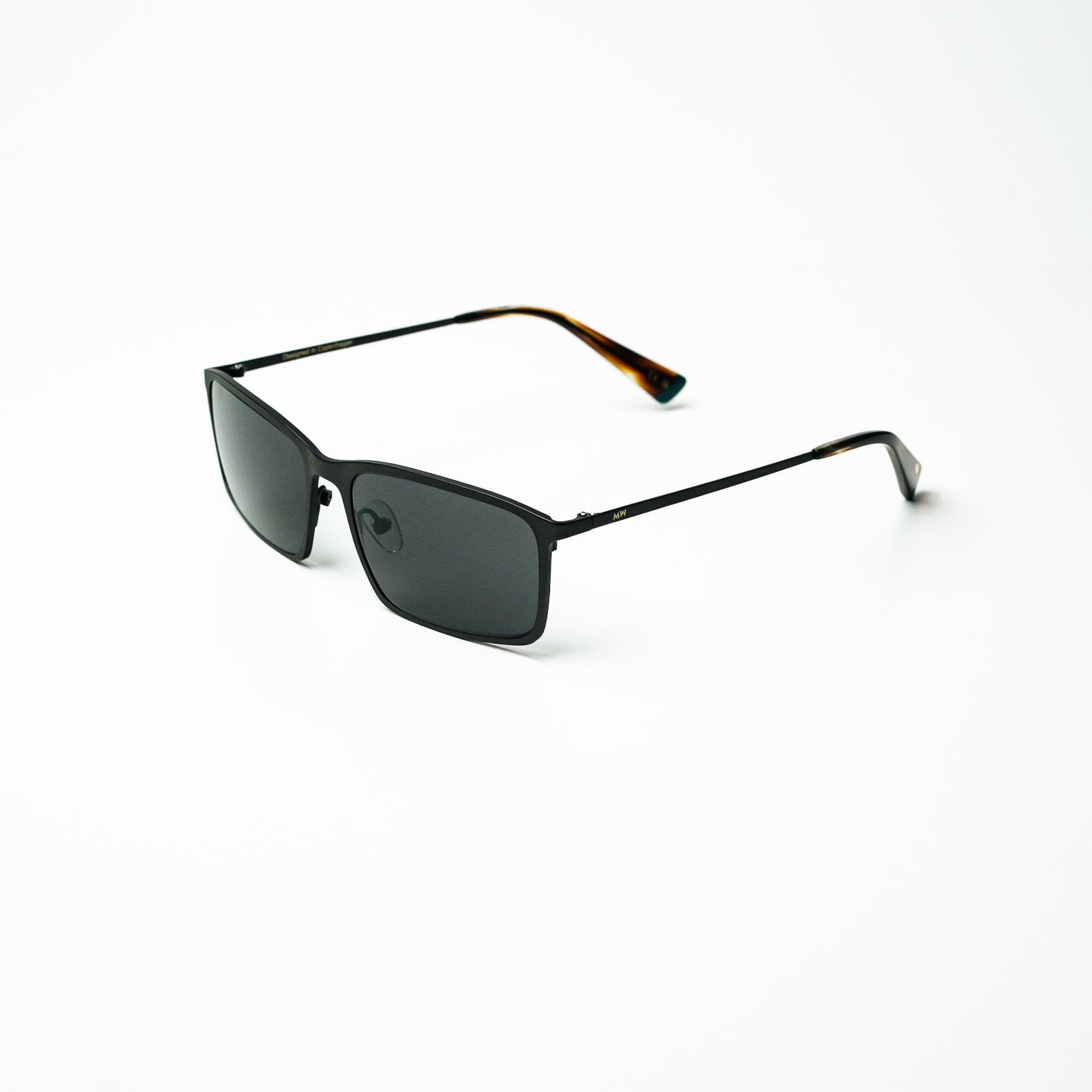 C2  FRANCIS TORTOISE