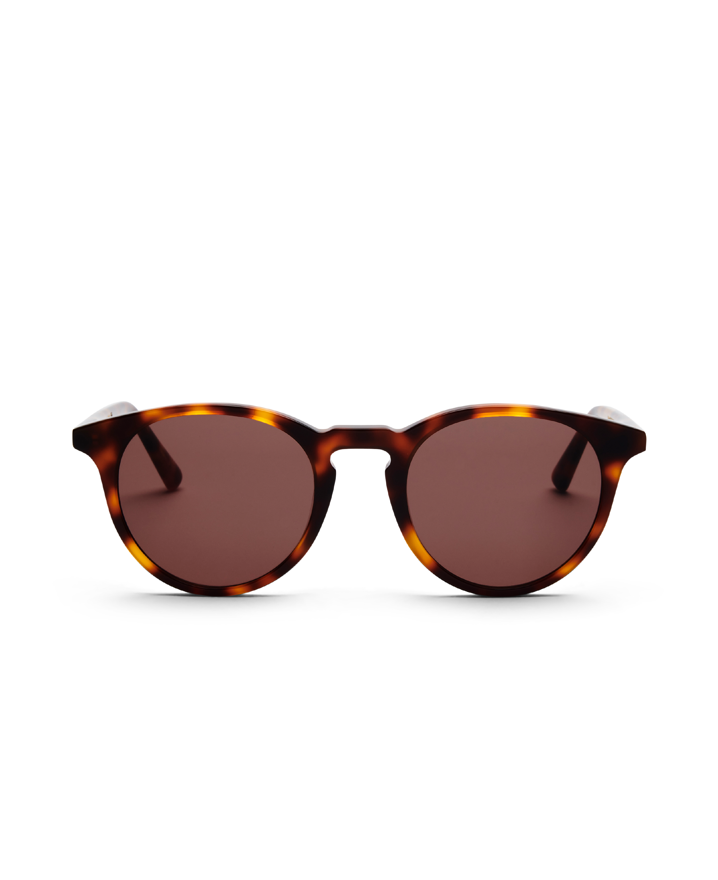 DEPP TORTOISE