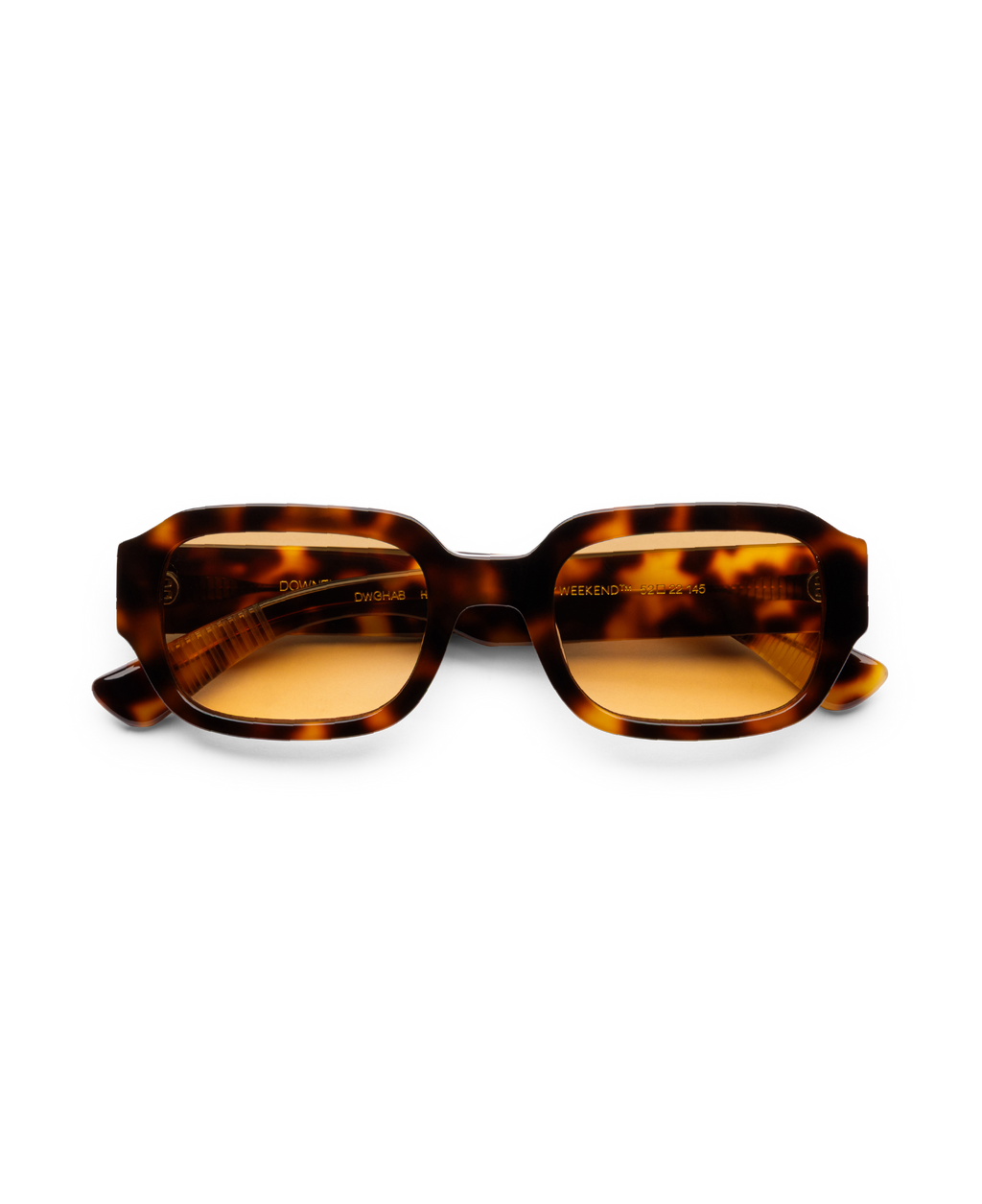 DOWNEY TORTOISE