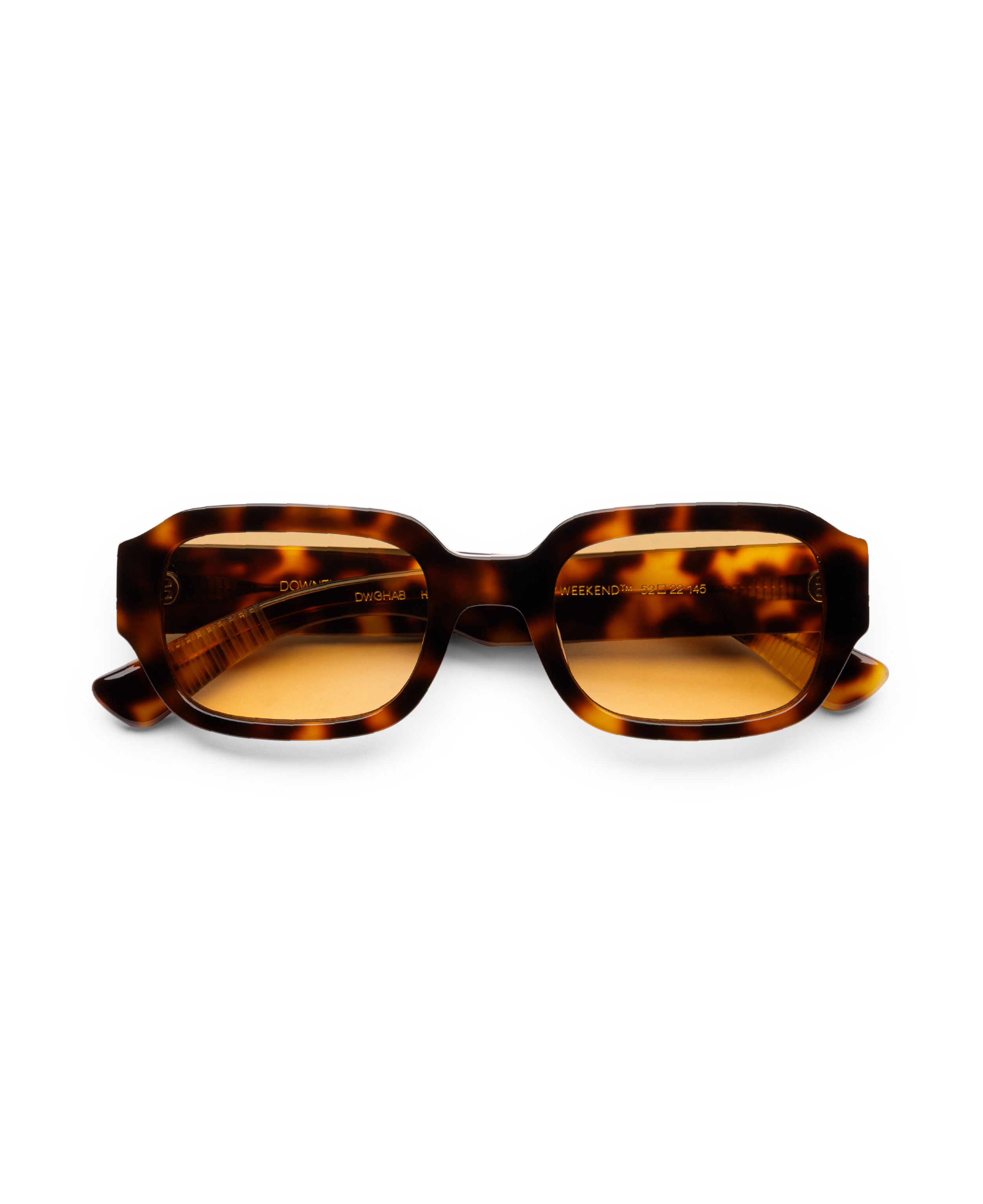 DOWNEY TORTOISE