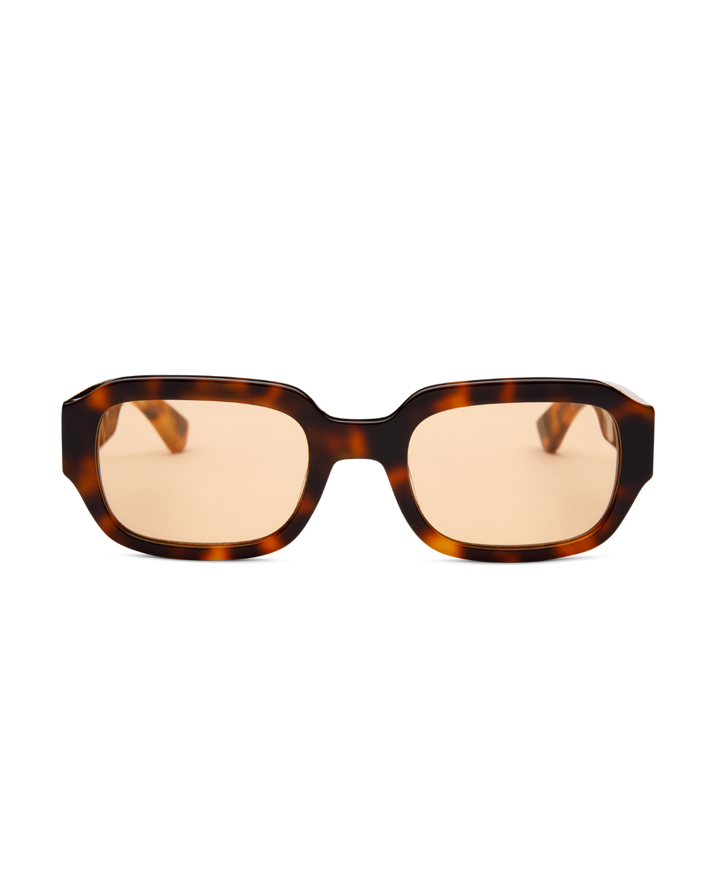 DOWNEY TORTOISE
