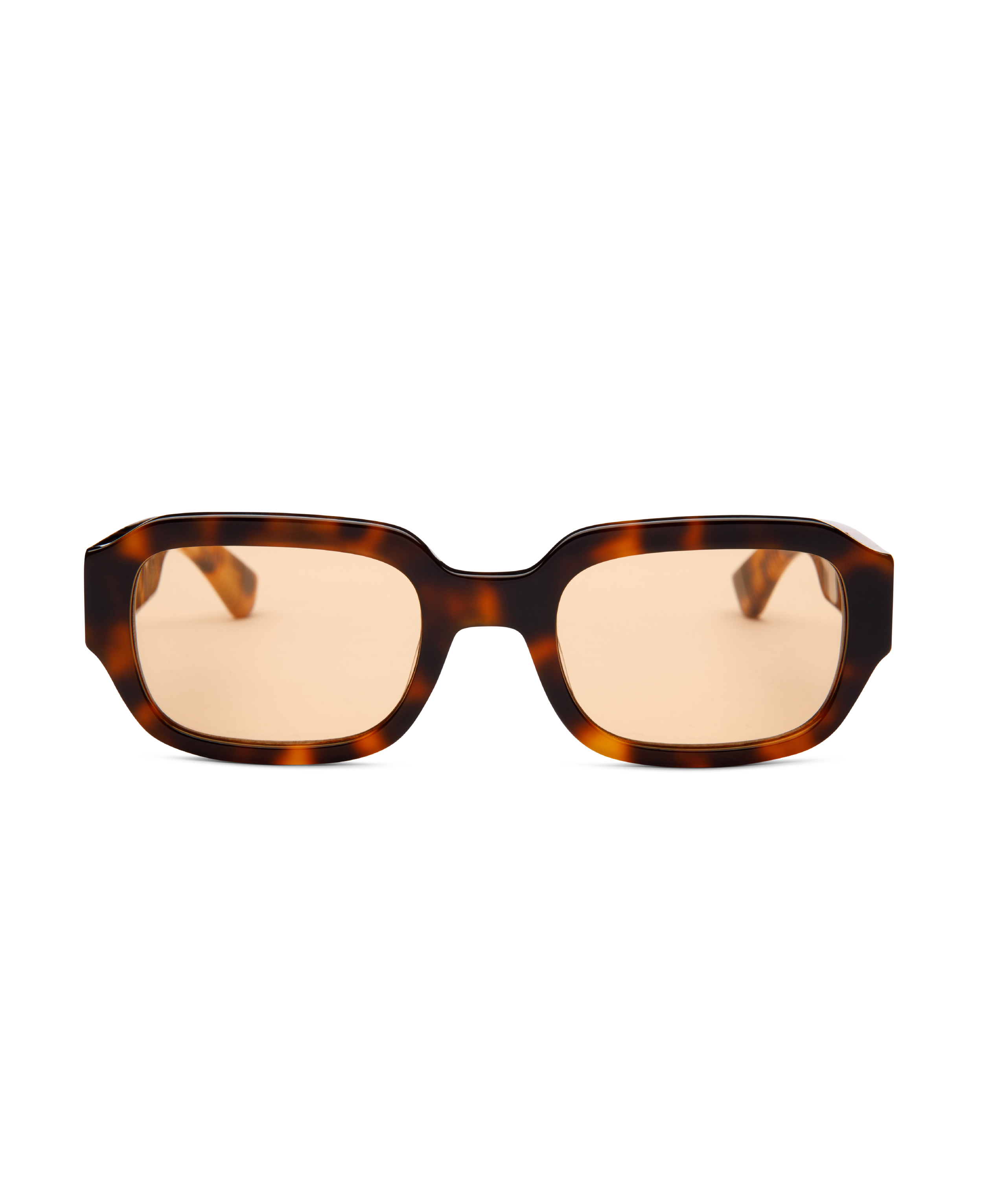 DOWNEY TORTOISE