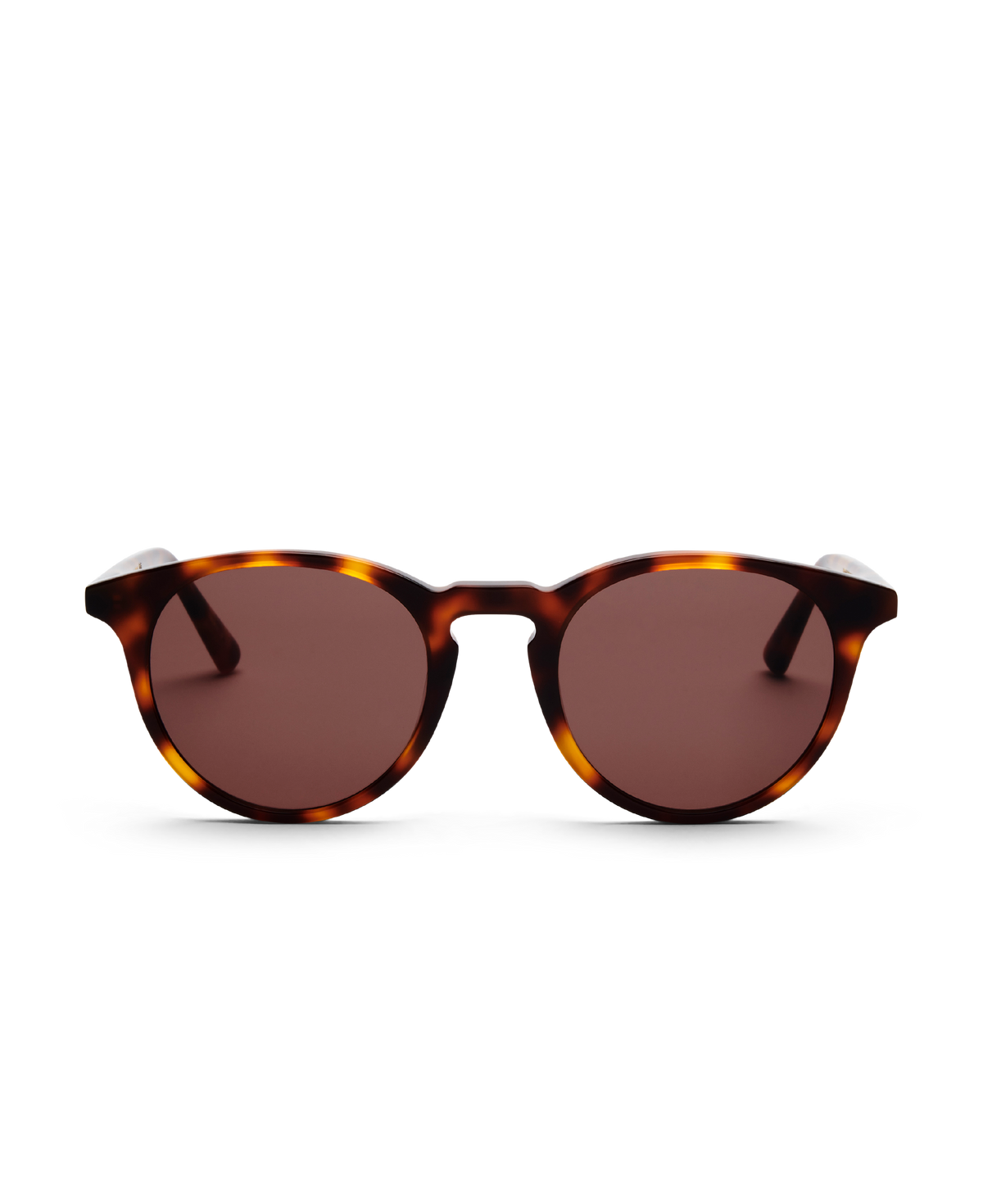 NEW DEPP TORTOISE